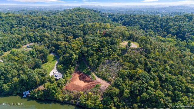 2132 Delta Queen Rd, Louisville, TN 37777 - photo 5