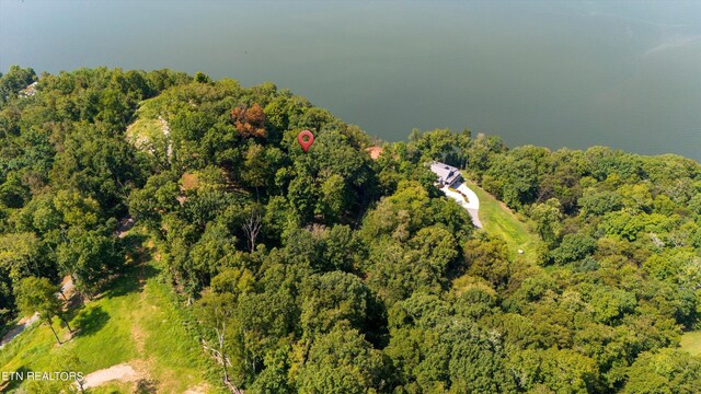 2132 Delta Queen Rd, Louisville, TN 37777 - photo 6