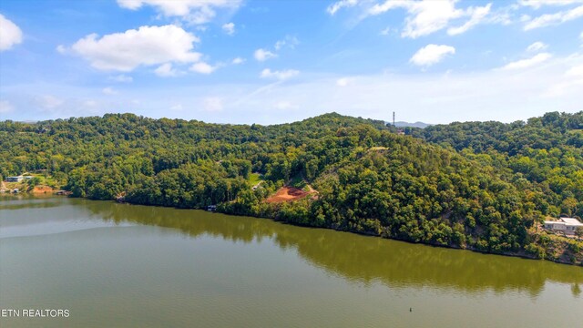 2132 Delta Queen Rd, Louisville, TN 37777 - photo 8