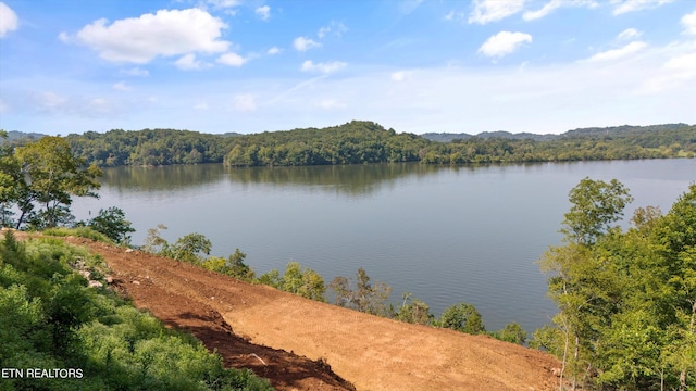 2132 Delta Queen Rd, Louisville, TN 37777 - photo 1