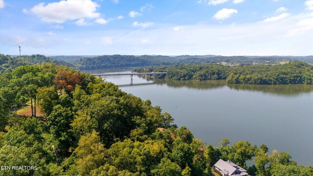 2132 Delta Queen Rd, Louisville, TN 37777 - photo 9