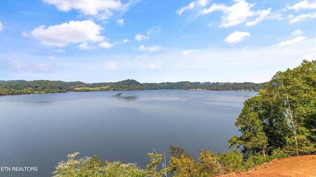 2132 Delta Queen Rd, Louisville, TN 37777 - photo 2