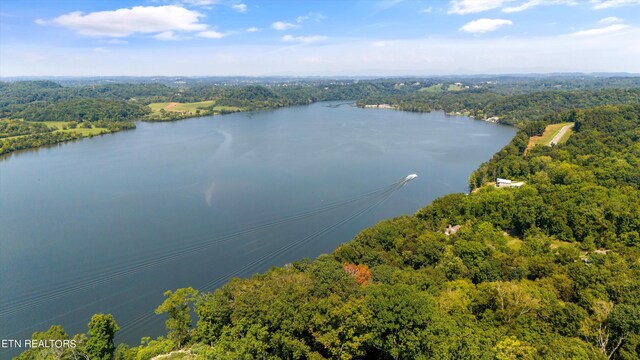 2132 Delta Queen Rd, Louisville, TN 37777 - photo 11