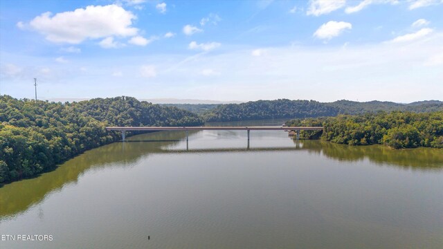 2132 Delta Queen Rd, Louisville, TN 37777 - photo 10