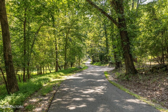 2132 Delta Queen Rd, Louisville, TN 37777 - photo 13