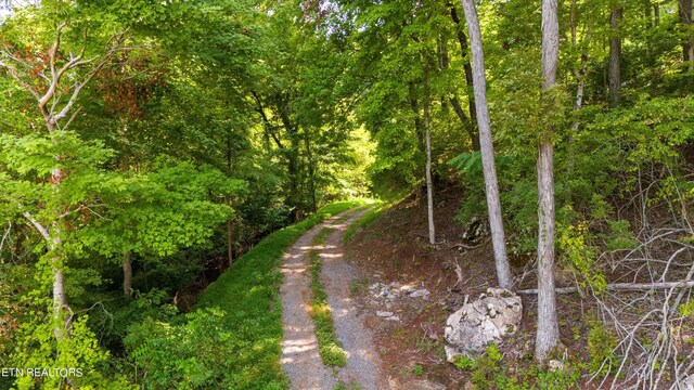 2132 Delta Queen Rd, Louisville, TN 37777 - photo 14