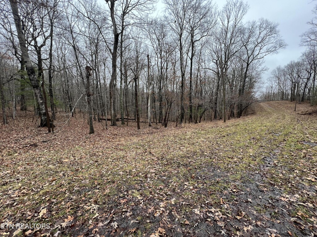 127 Durham Rd, Crossville, TN 38558 - photo 3