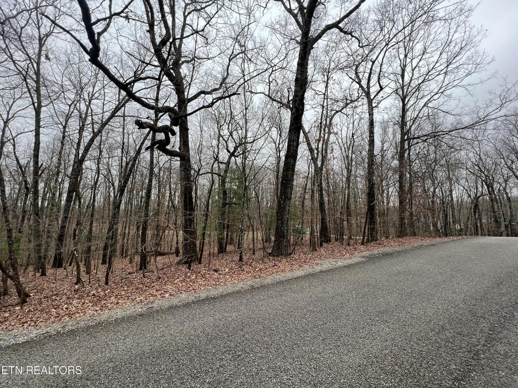 127 Durham Rd, Crossville, TN 38558 - photo 2