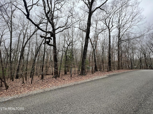 127 Durham Rd, Crossville, TN 38558 - photo 2