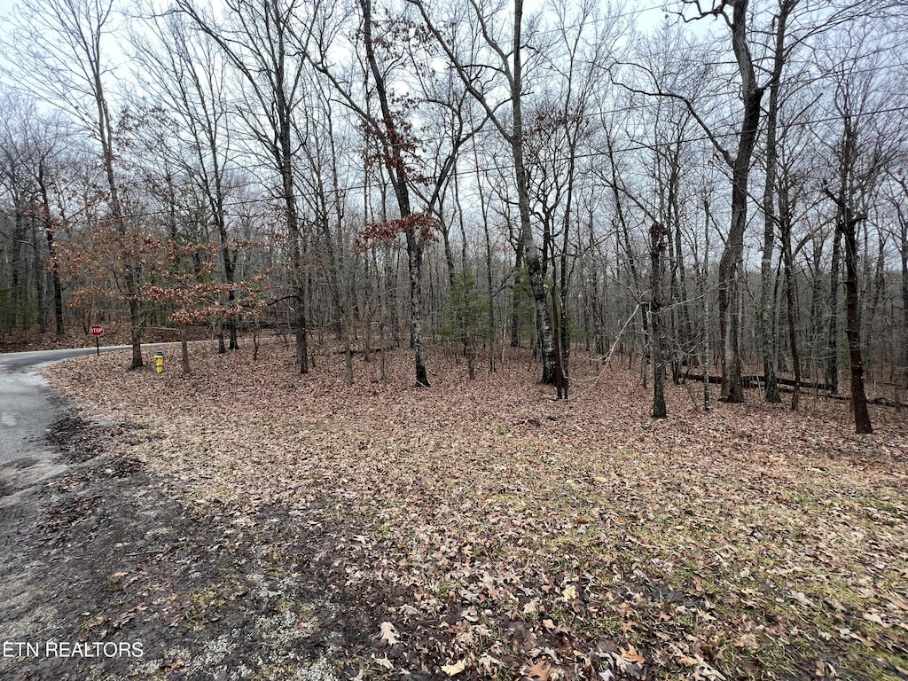 127 Durham Rd, Crossville, TN 38558 - photo 4