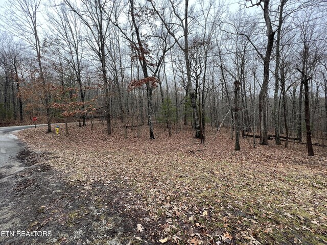 127 Durham Rd, Crossville, TN 38558 - photo 4