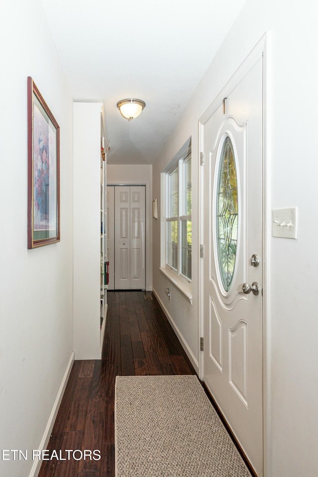 doorway with dark hardwood / wood-style flooring