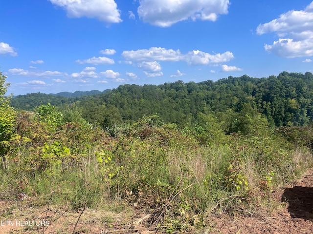 Listing photo 2 for Tower Rd, Tazewell TN 37879