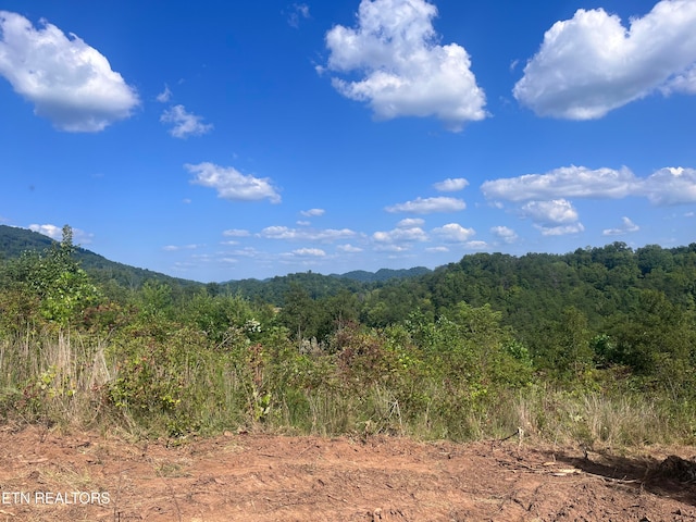 Tower Rd, Tazewell TN, 37879 land for sale