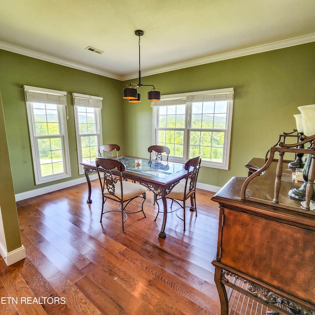 dining room with a wealth of natural light, wood-type flooring, and ornamental molding