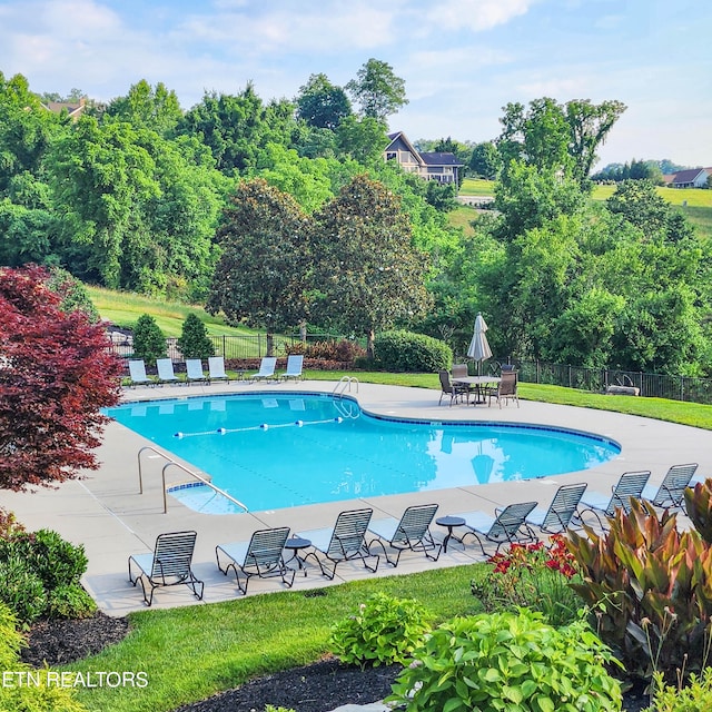 view of pool featuring a patio