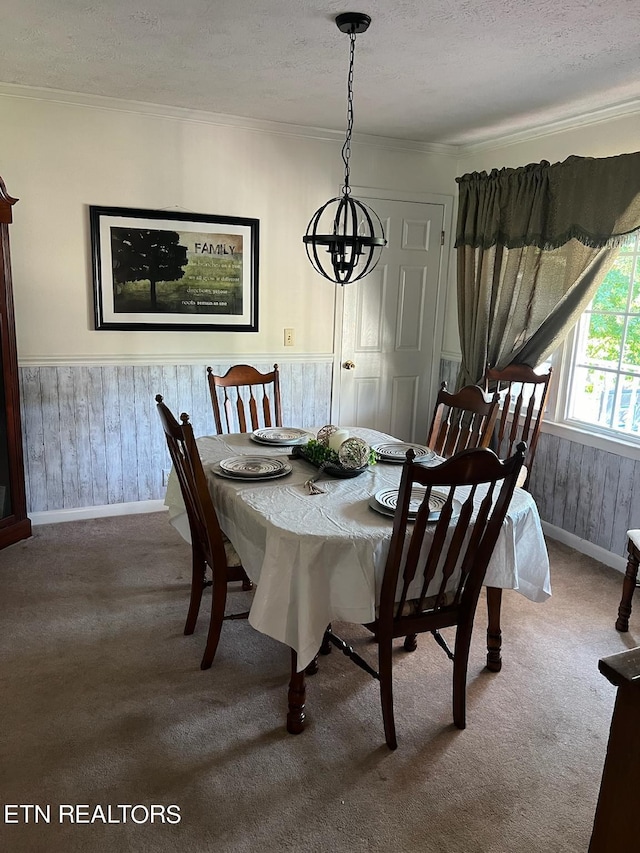 dining room featuring a textured ceiling, wood walls, and carpet