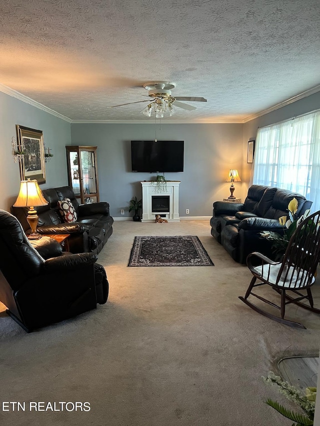 carpeted living room with ornamental molding, ceiling fan, and a textured ceiling