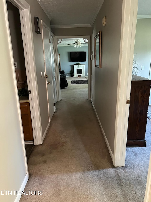 hall featuring light carpet and crown molding