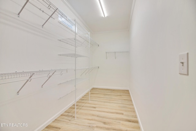 walk in closet with wood-type flooring