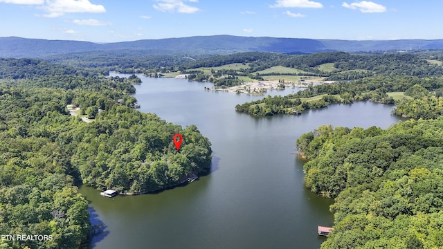 125 Sawmill Cv, Rockwood, TN 37854 - photo 2