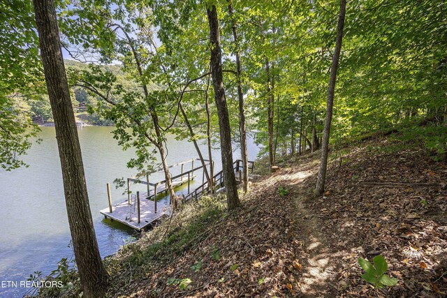 125 Sawmill Cv, Rockwood, TN 37854 - photo 5