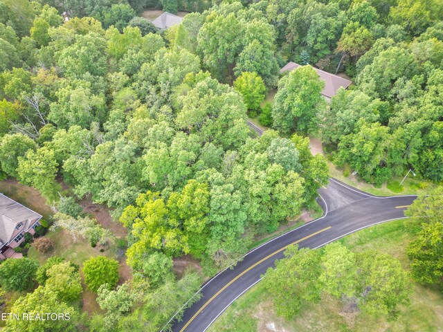Tennessee Ave, Crossville, TN 38555 - photo 3