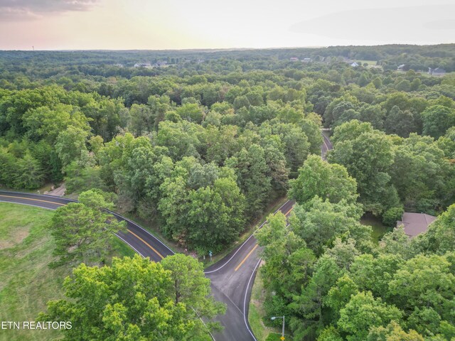 Tennessee Ave, Crossville, TN 38555 - photo 4