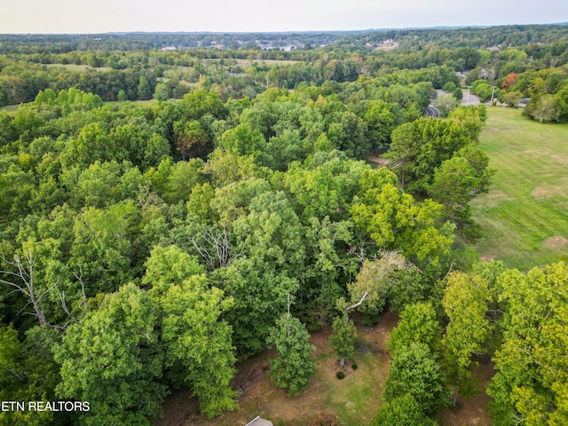 Tennessee Ave, Crossville, TN 38555 - photo 8