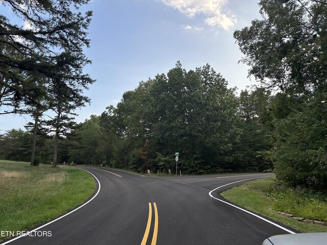 Tennessee Ave, Crossville, TN 38555 - photo 12