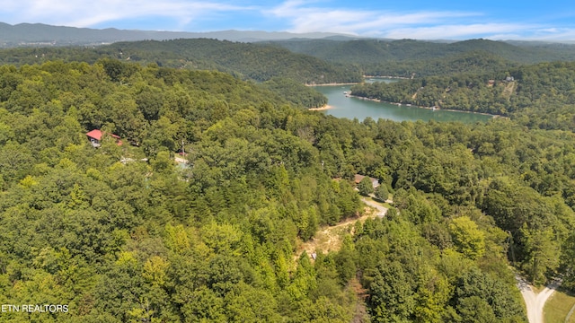 Shady Cove Rd, Caryville TN, 37714 land for sale