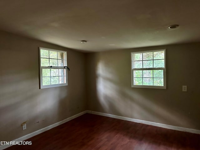 empty room featuring a wealth of natural light and wood-type flooring