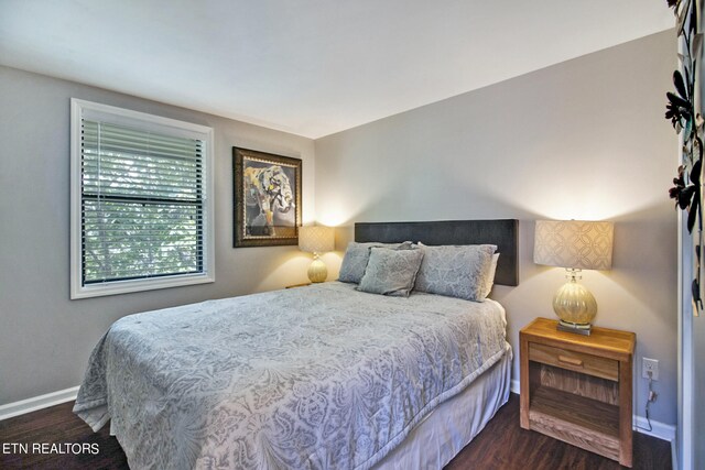 bedroom with dark hardwood / wood-style floors