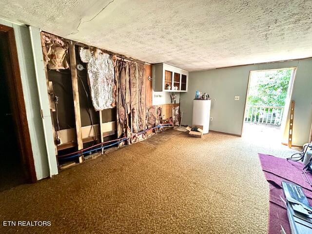 misc room with carpet flooring and a textured ceiling