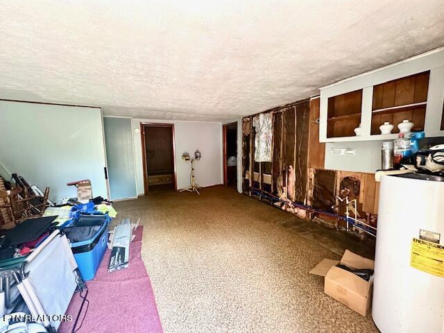 misc room with gas water heater, a textured ceiling, and carpet floors