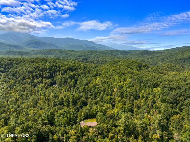 property view of mountains