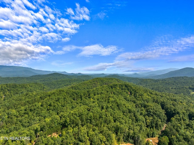 view of mountain feature