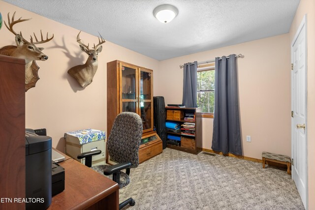 office with light carpet and a textured ceiling