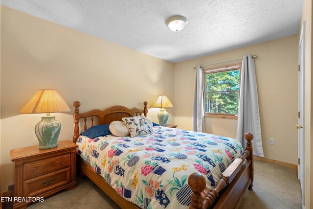 bedroom featuring a textured ceiling and carpet flooring