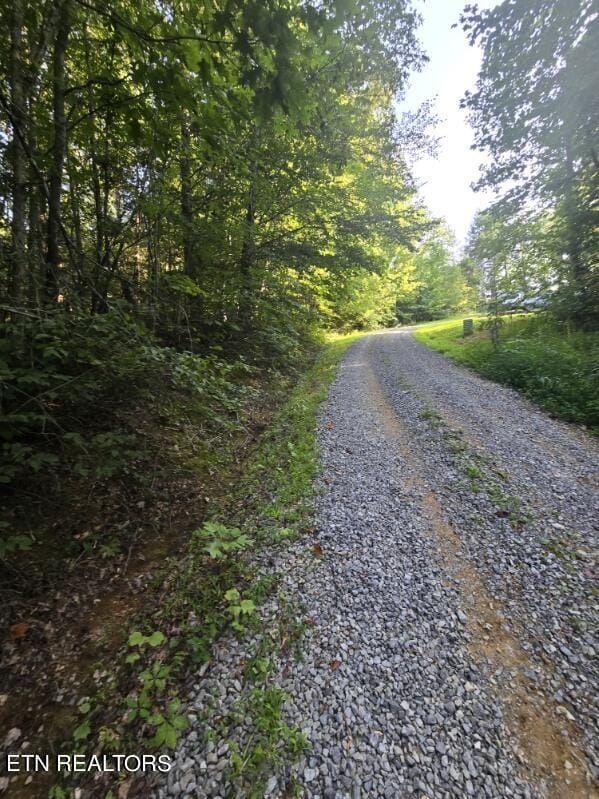 TRACT3 Jason Pl, Sevierville TN, 37876 land for sale