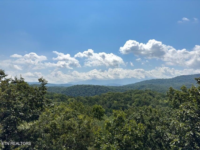 view of mountain feature