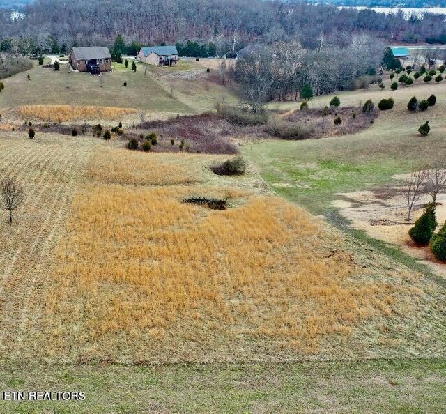 215 Majestic View Dr, Rockwood, TN 37854 - photo 10