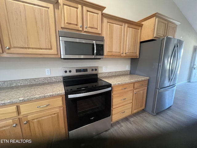 kitchen featuring lofted ceiling, stainless steel appliances, and dark hardwood / wood-style floors