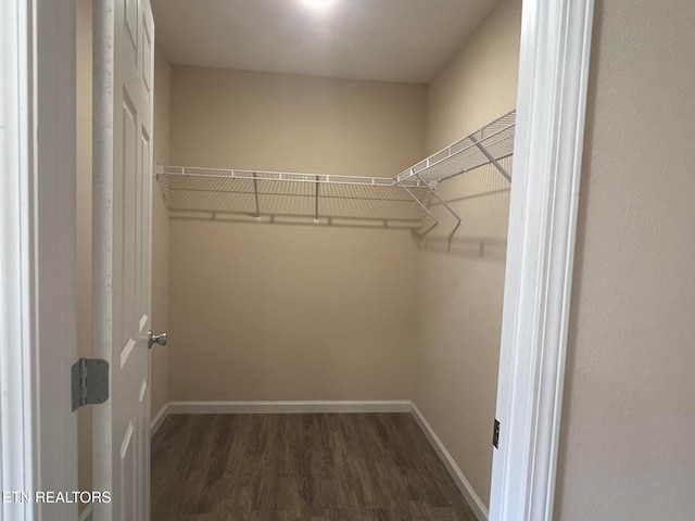 spacious closet featuring dark wood-type flooring