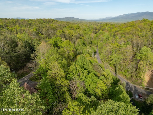 birds eye view of property featuring a mountain view