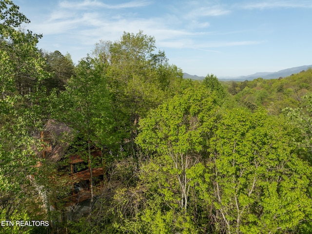 view of landscape