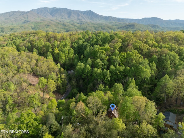 bird's eye view featuring a mountain view