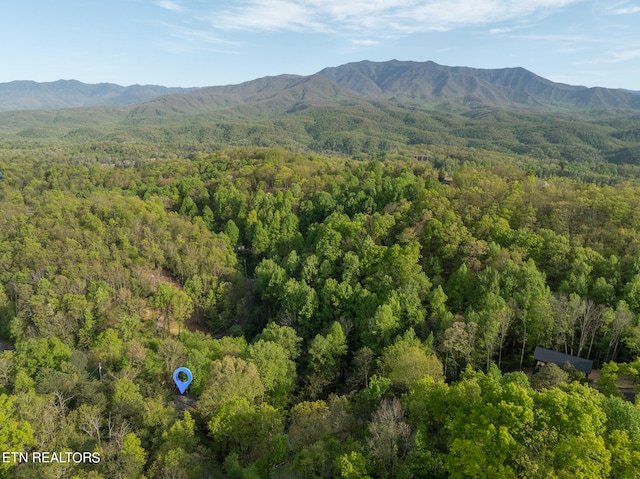 property view of mountains