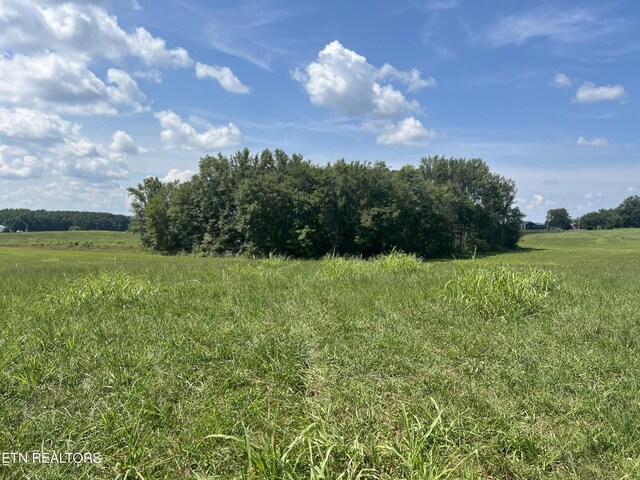 10.02AC Gum Springs Mountain Rd, Walling, TN 38587 - photo 21