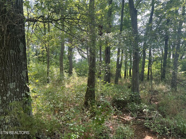 10.02AC Gum Springs Mountain Rd, Walling, TN 38587 - photo 29